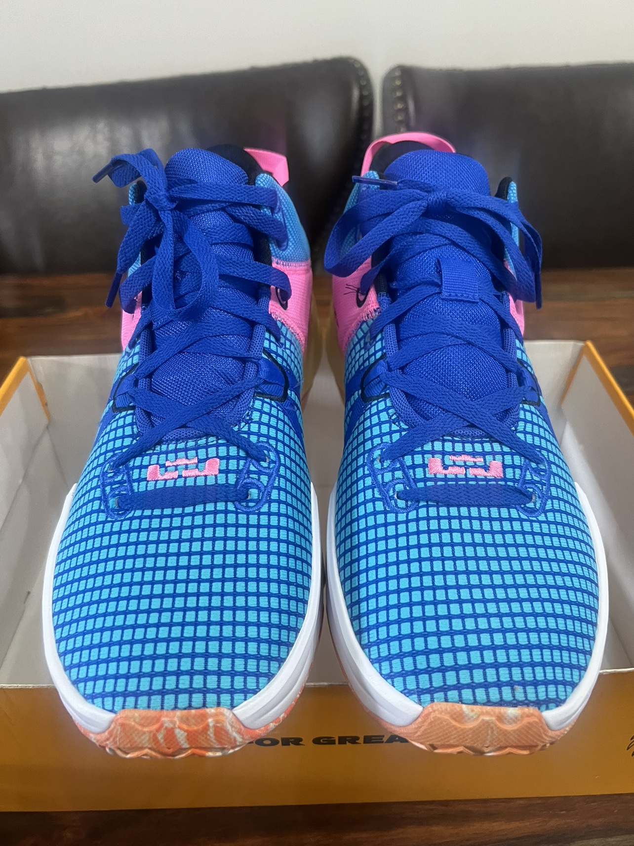 LEBRON SHOES