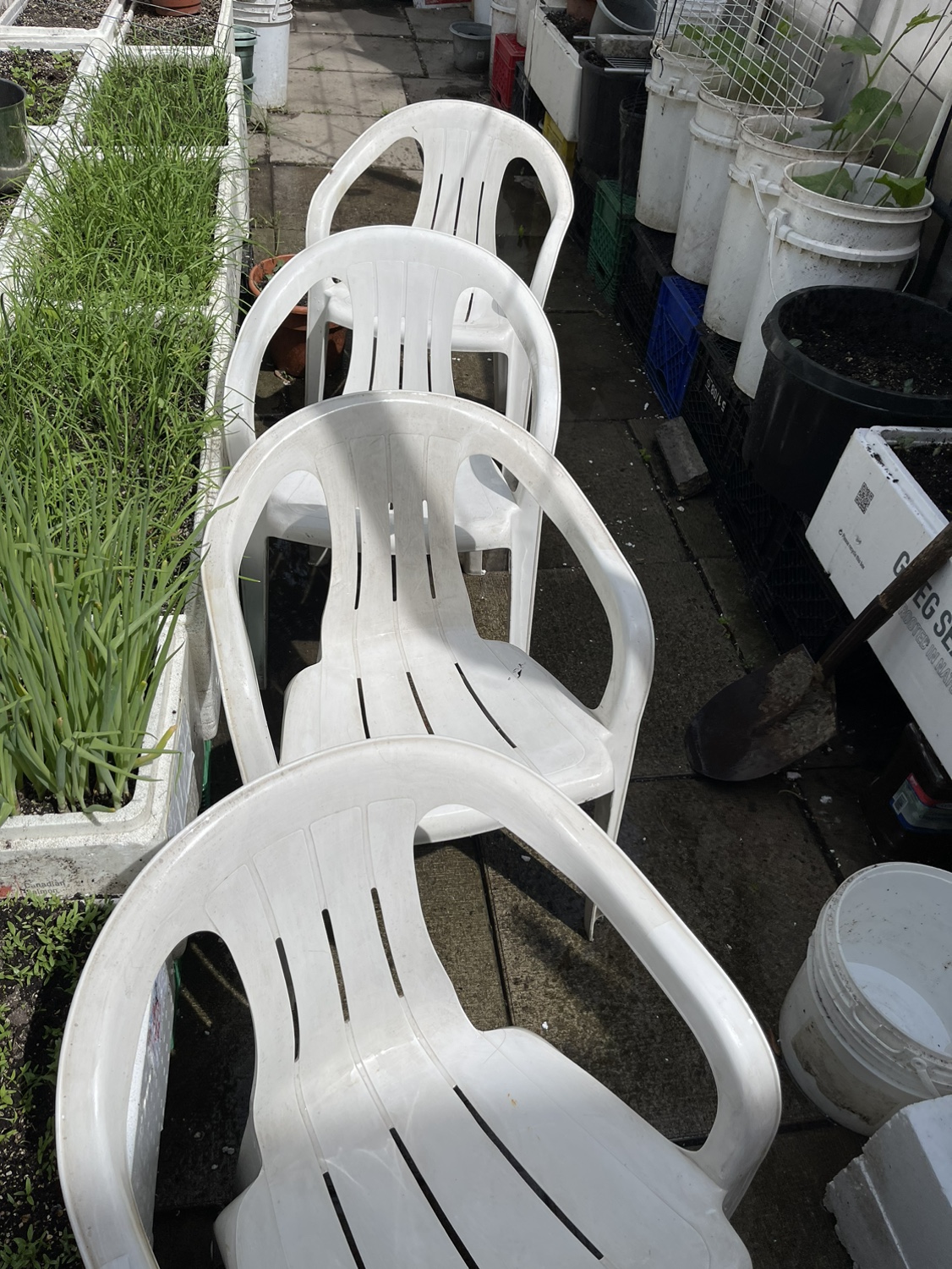 Outdoor Chairs thumbnail