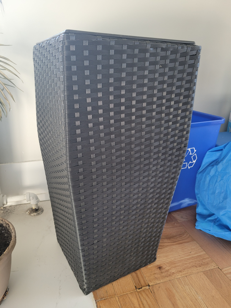 Plant pot (moving sale)