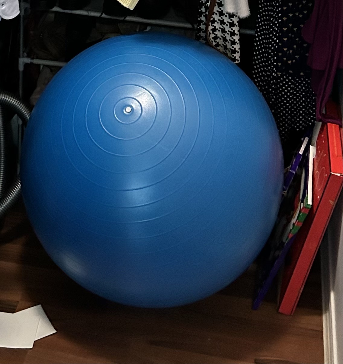 Birthing/ Exercise ball - panda eye. 65cm with pump thumbnail