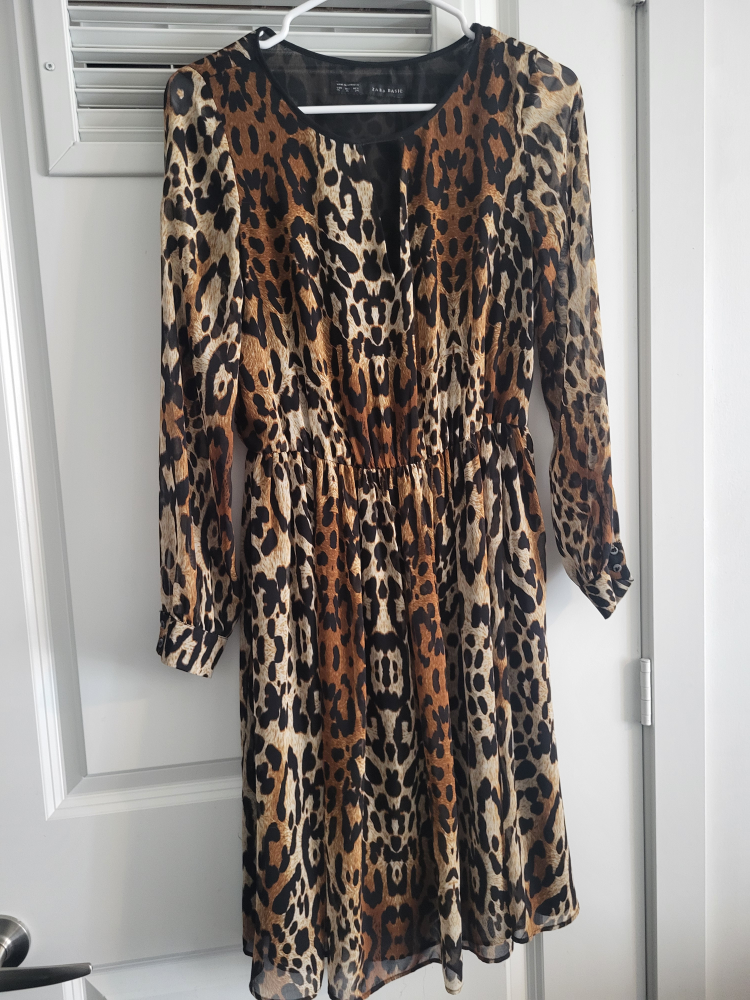 Zara dress