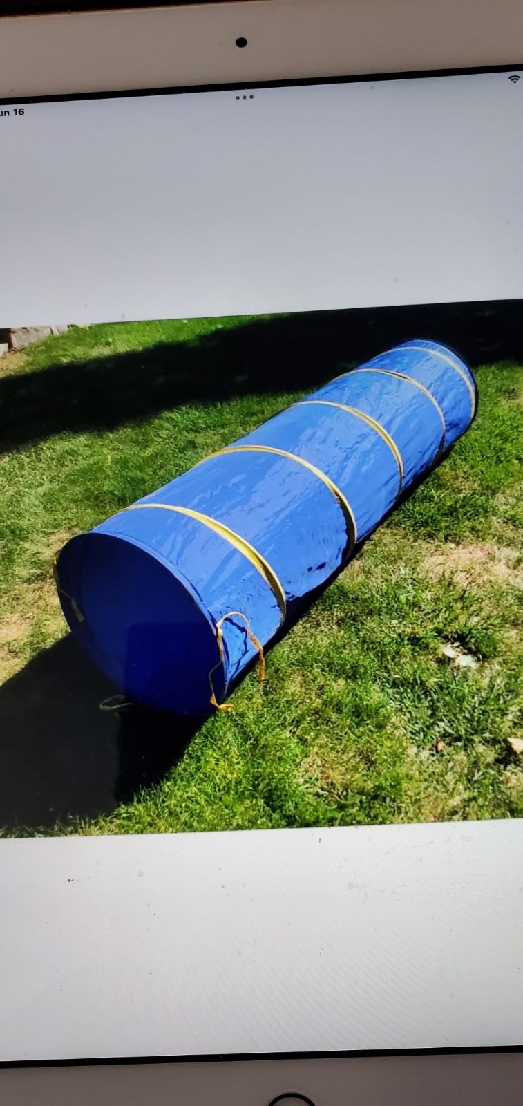 Dog agility tunnel thumbnail