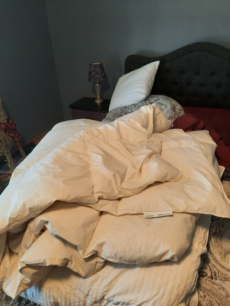 comforter - photo 2