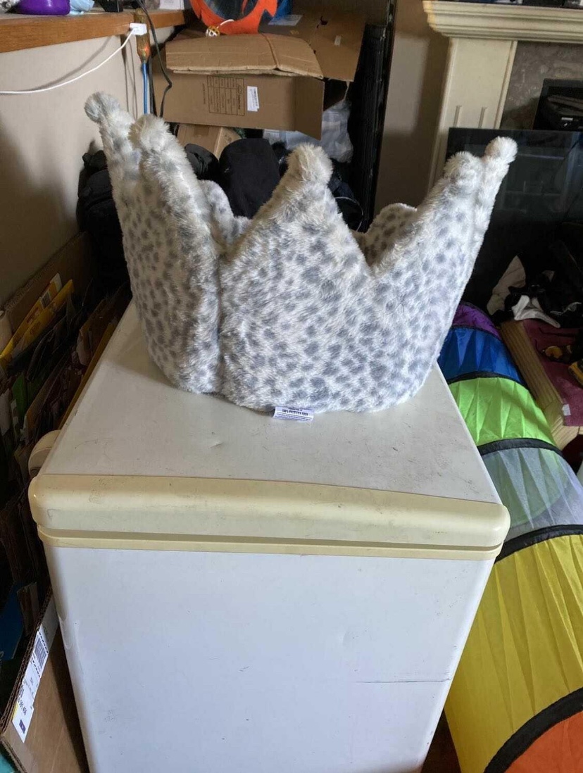 Pet bed image indicator(2)