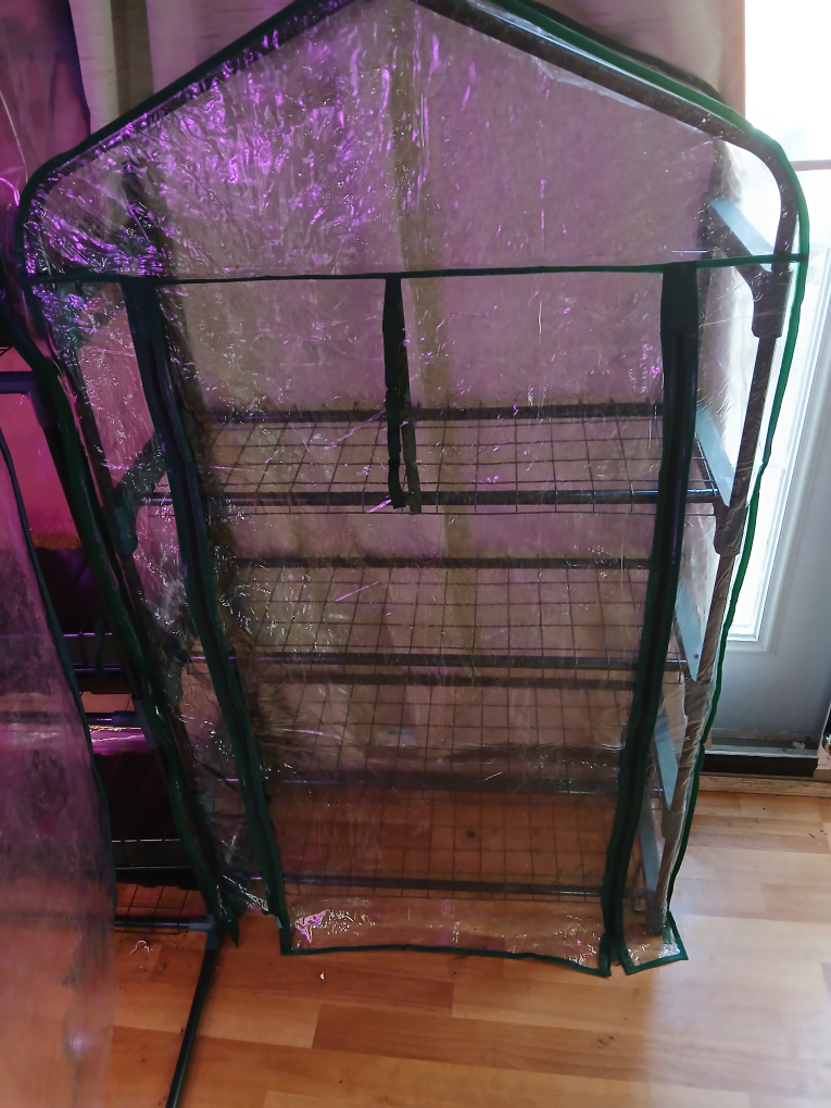 4 tier greenhouse 🧡