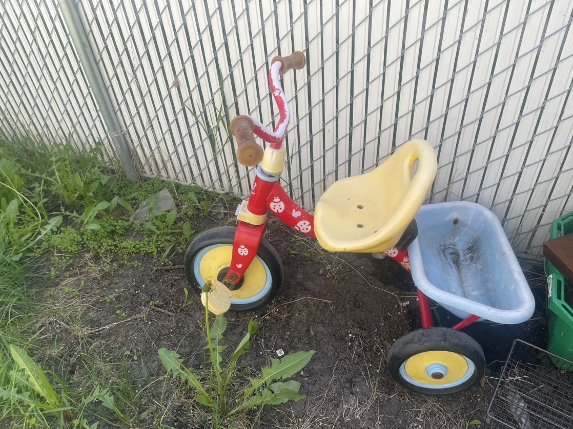 Kids tricycle image indicator(2)