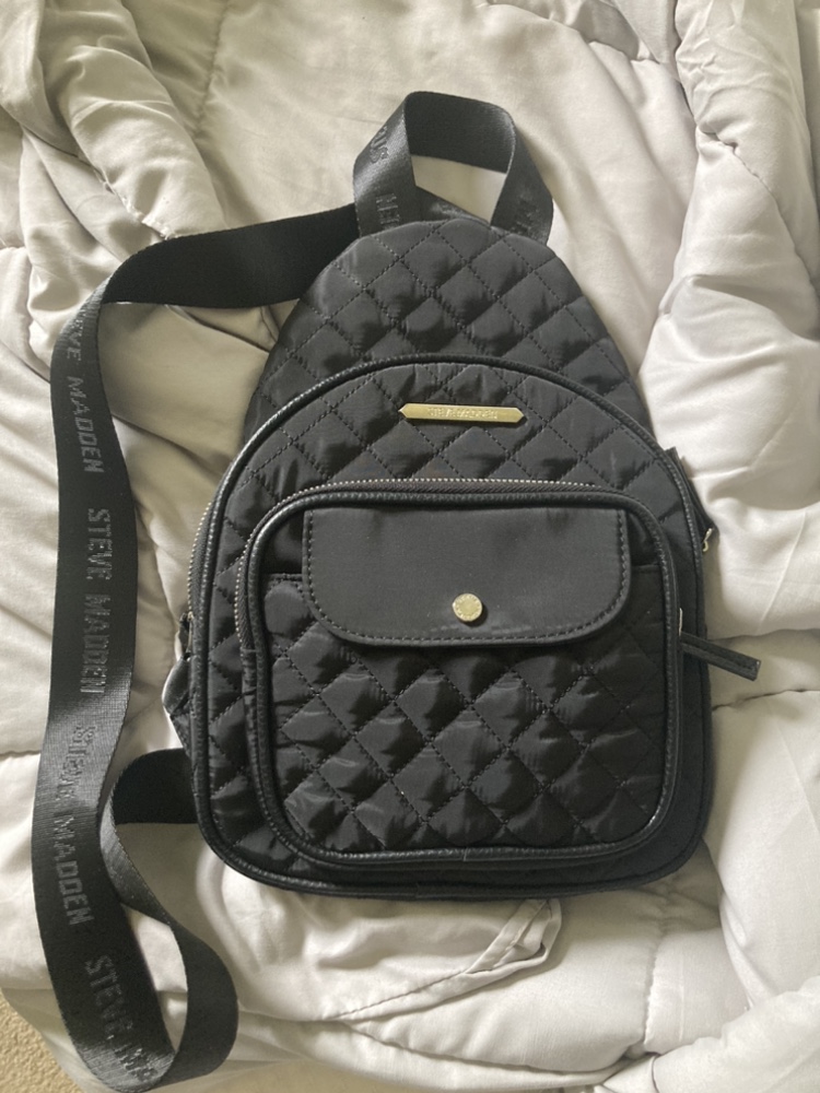 Steve Madden bag thumbnail