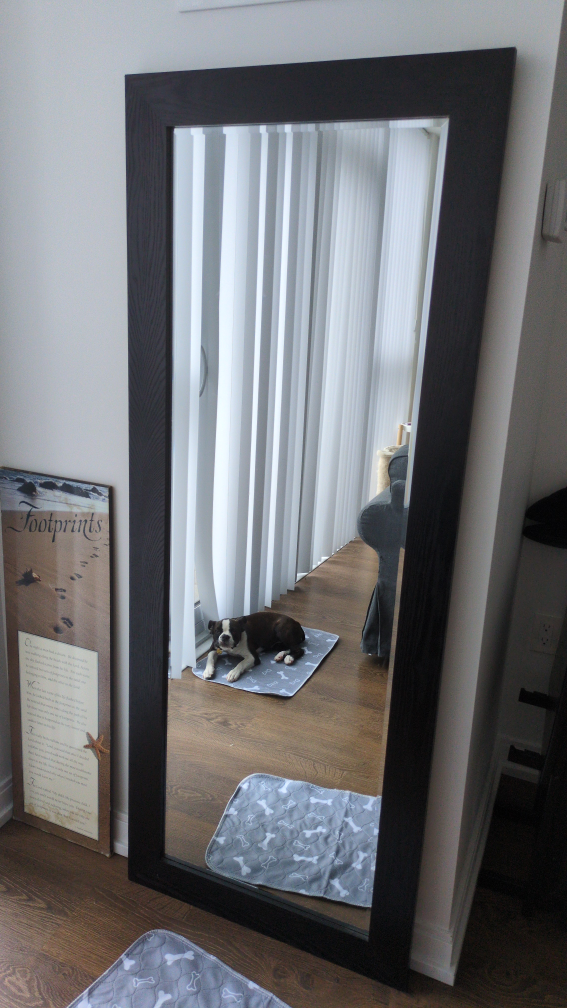 Large Standing Mirror with Hanging Hooks thumbnail