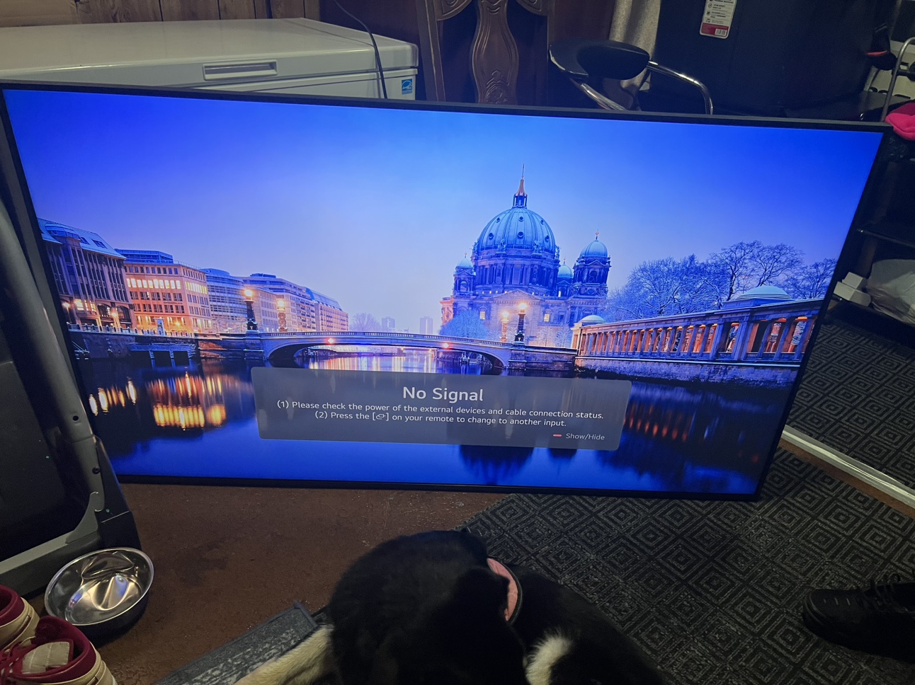 65 inch LG tv - photo 5