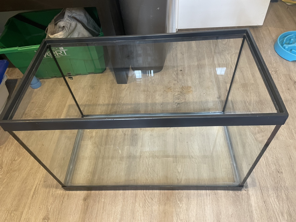 20g Aquarium