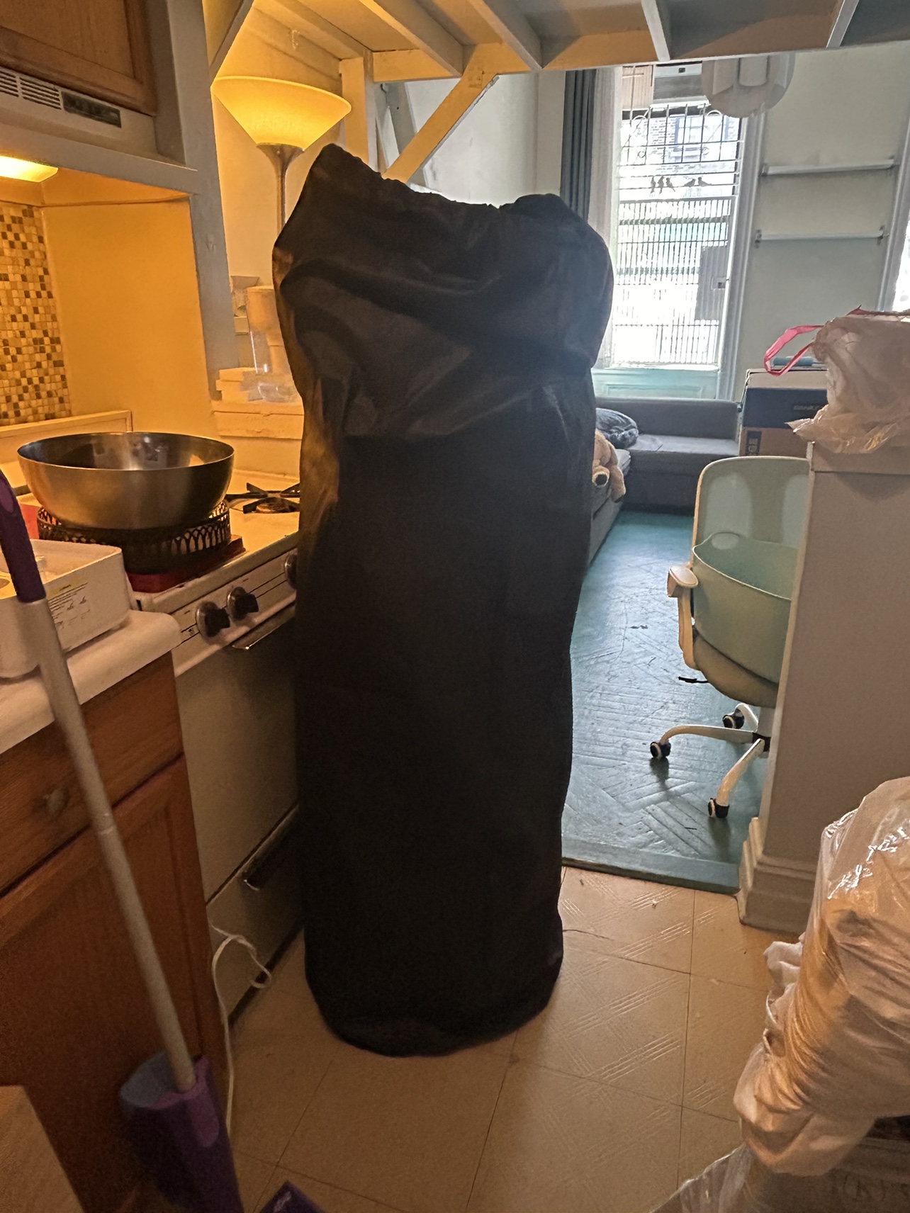 Futon Mattress