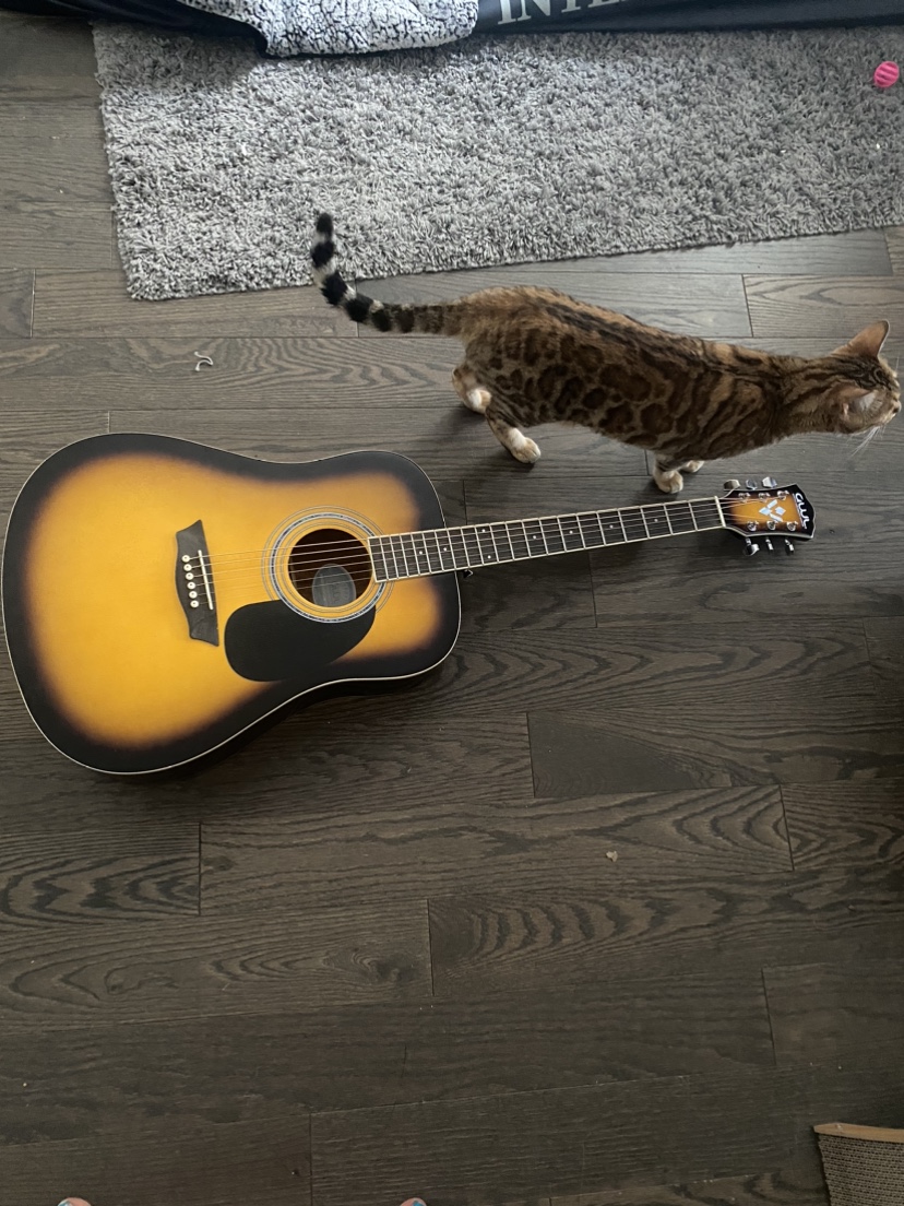 Acoustic Guitar image indicator(7)