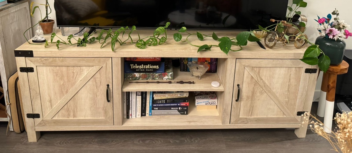 TV unit