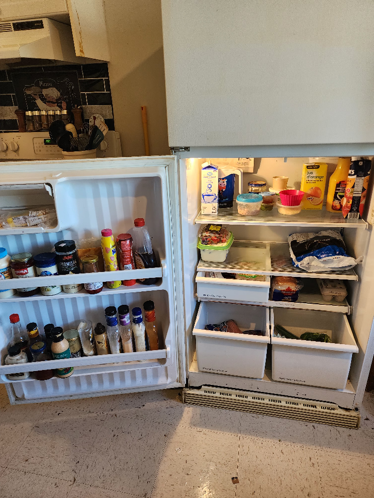Moffat 30 Cubic  Feet Fridge - photo 4