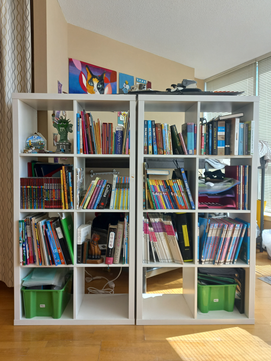 KALLAX Book shelf