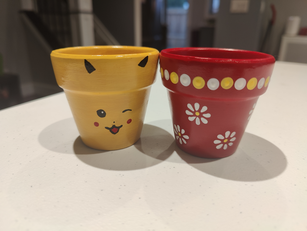 Hand painted pots