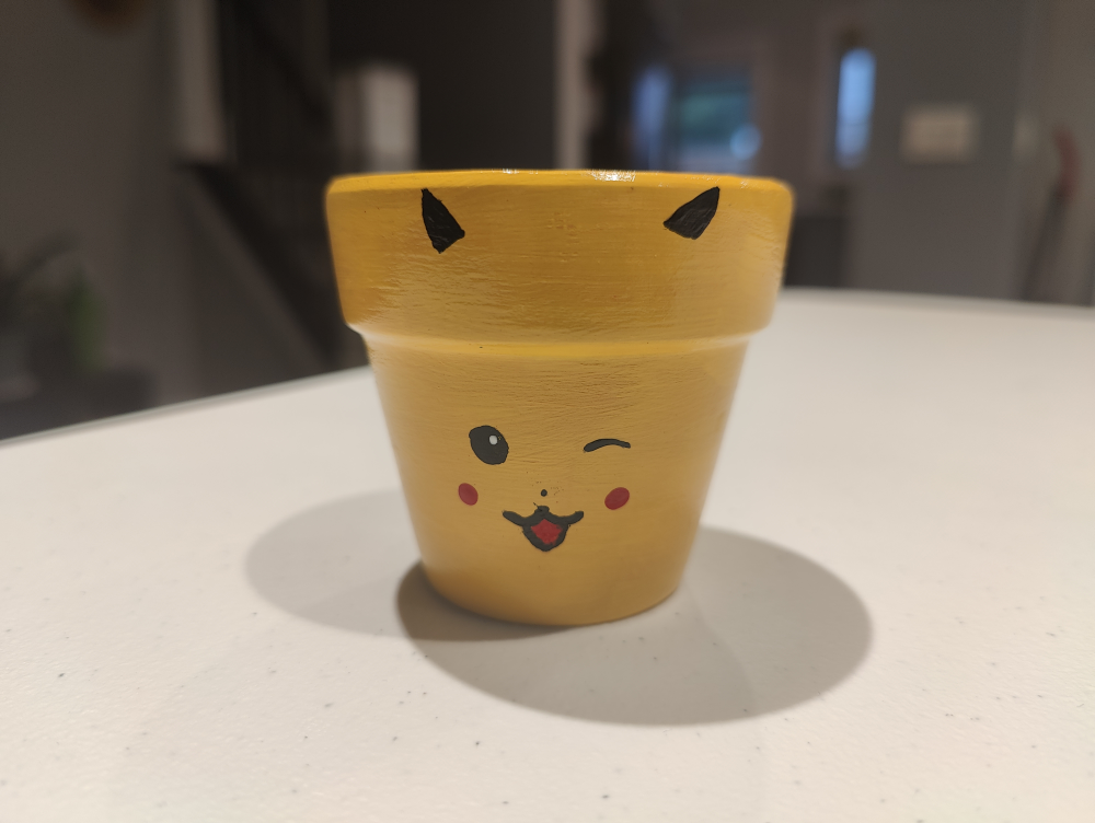 Hand painted pots - photo 2