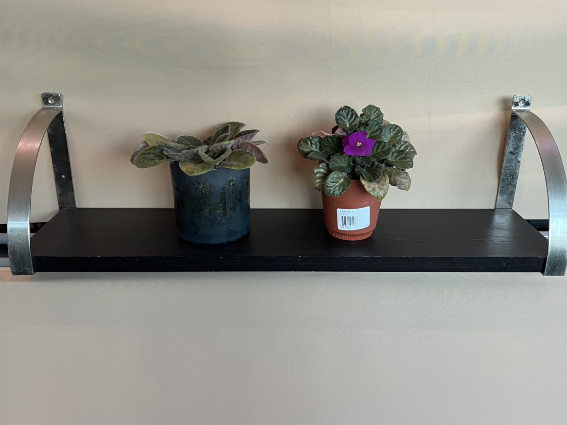 IKEA Wall Shelf w/Brackets thumbnail
