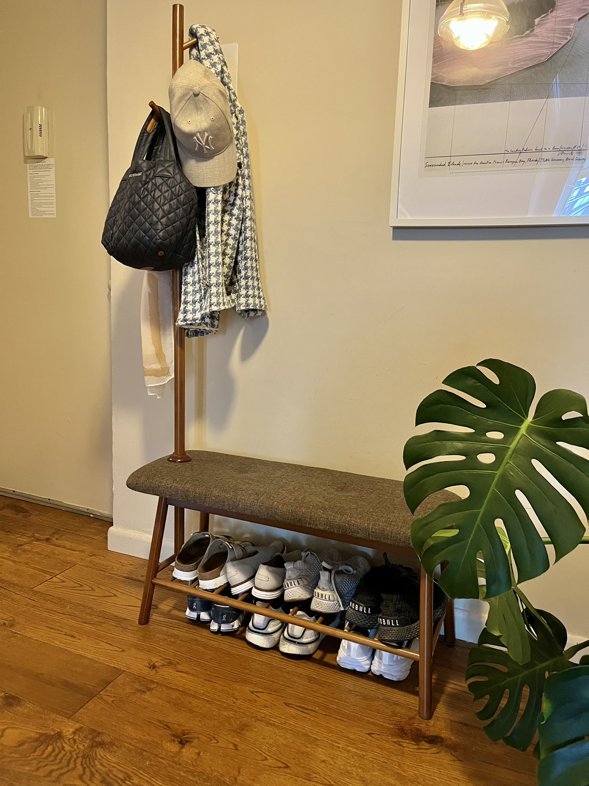 Coat and Shoe Rack
