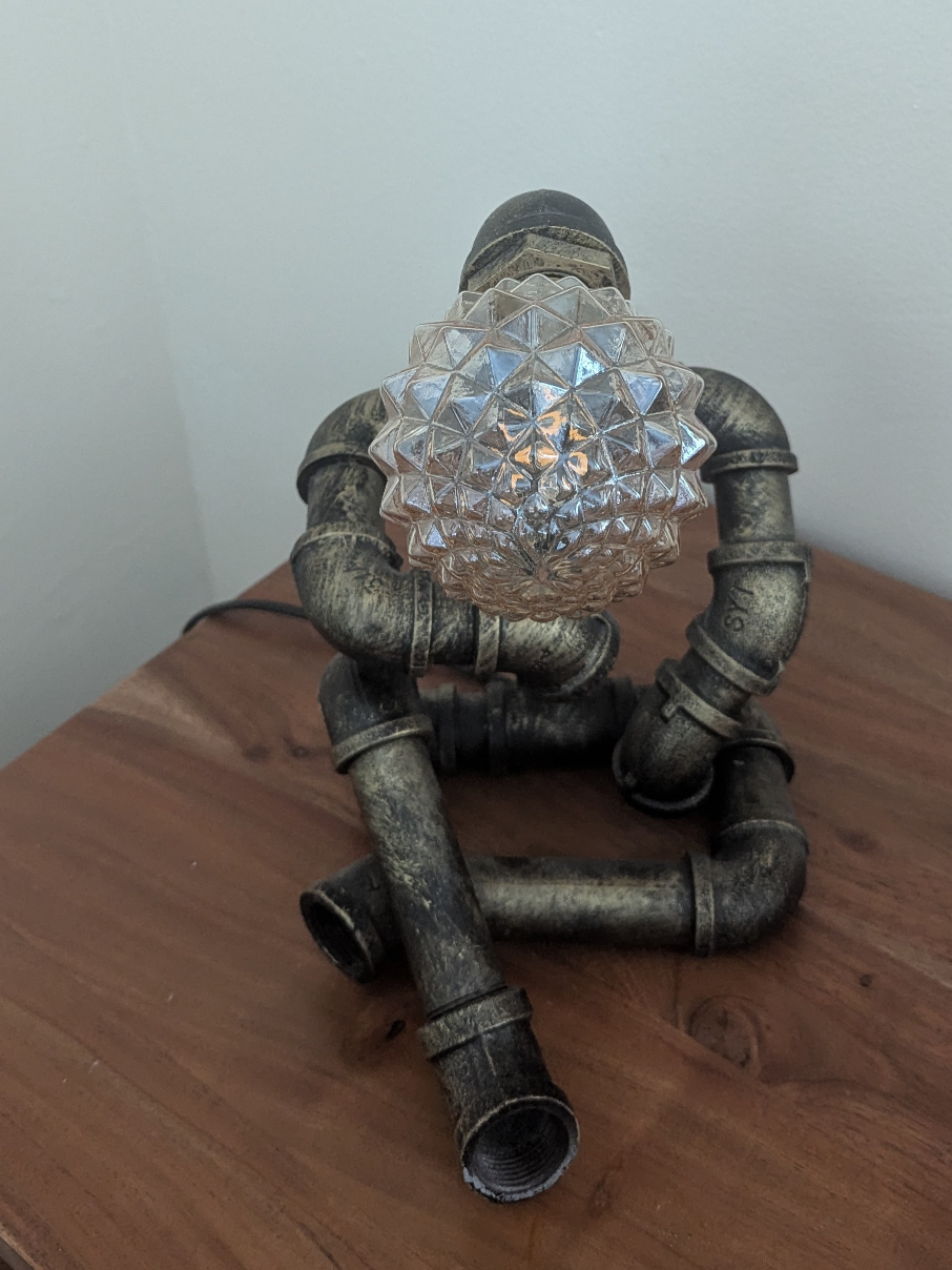 industrial table lamp with new pineapple bulb image indicator(2)