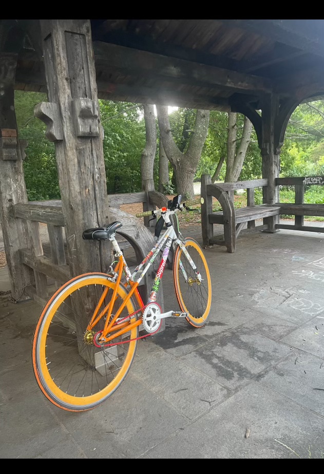 Custom fixie Bike