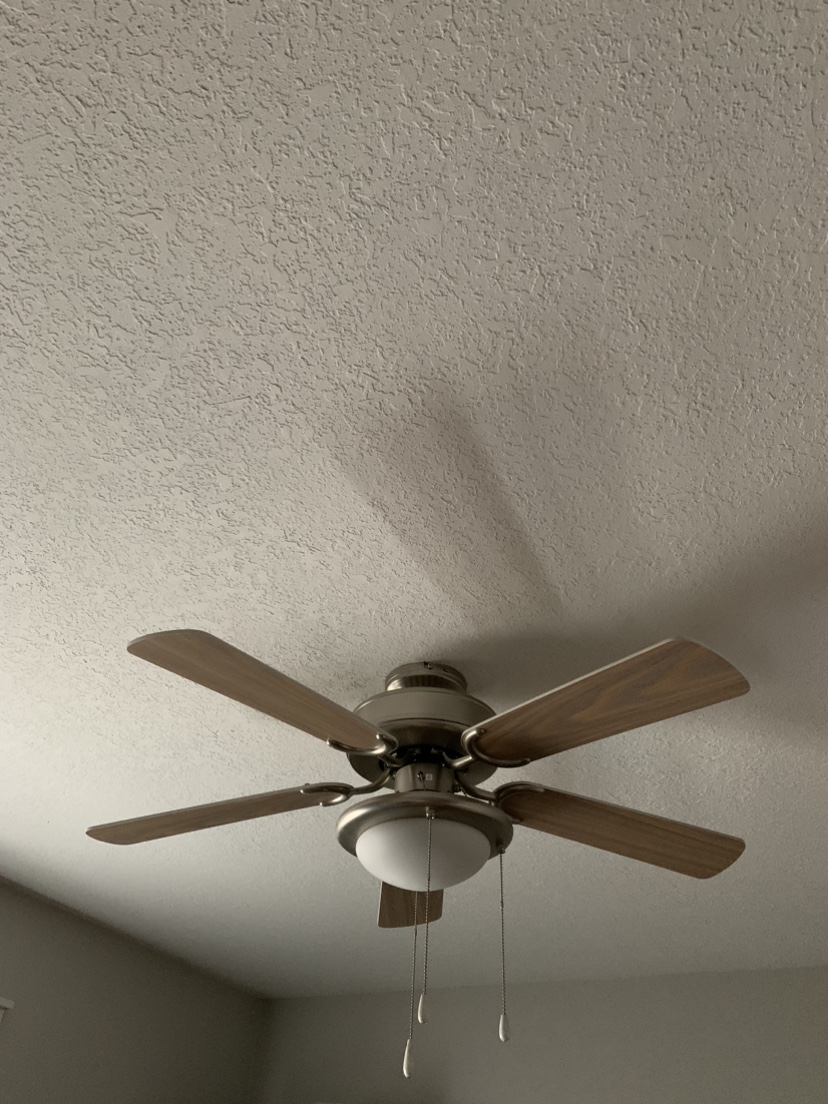 Ceiling Fans
