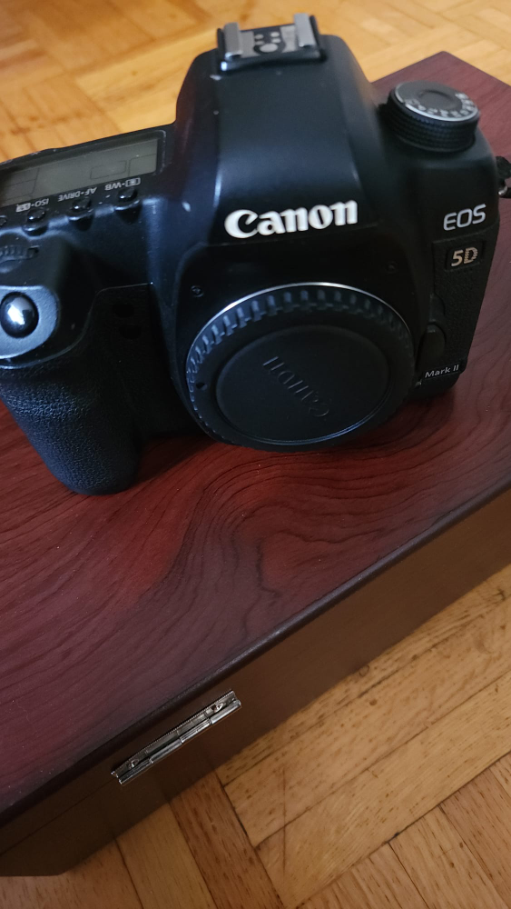 canon 5d mark ii image indicator(2)
