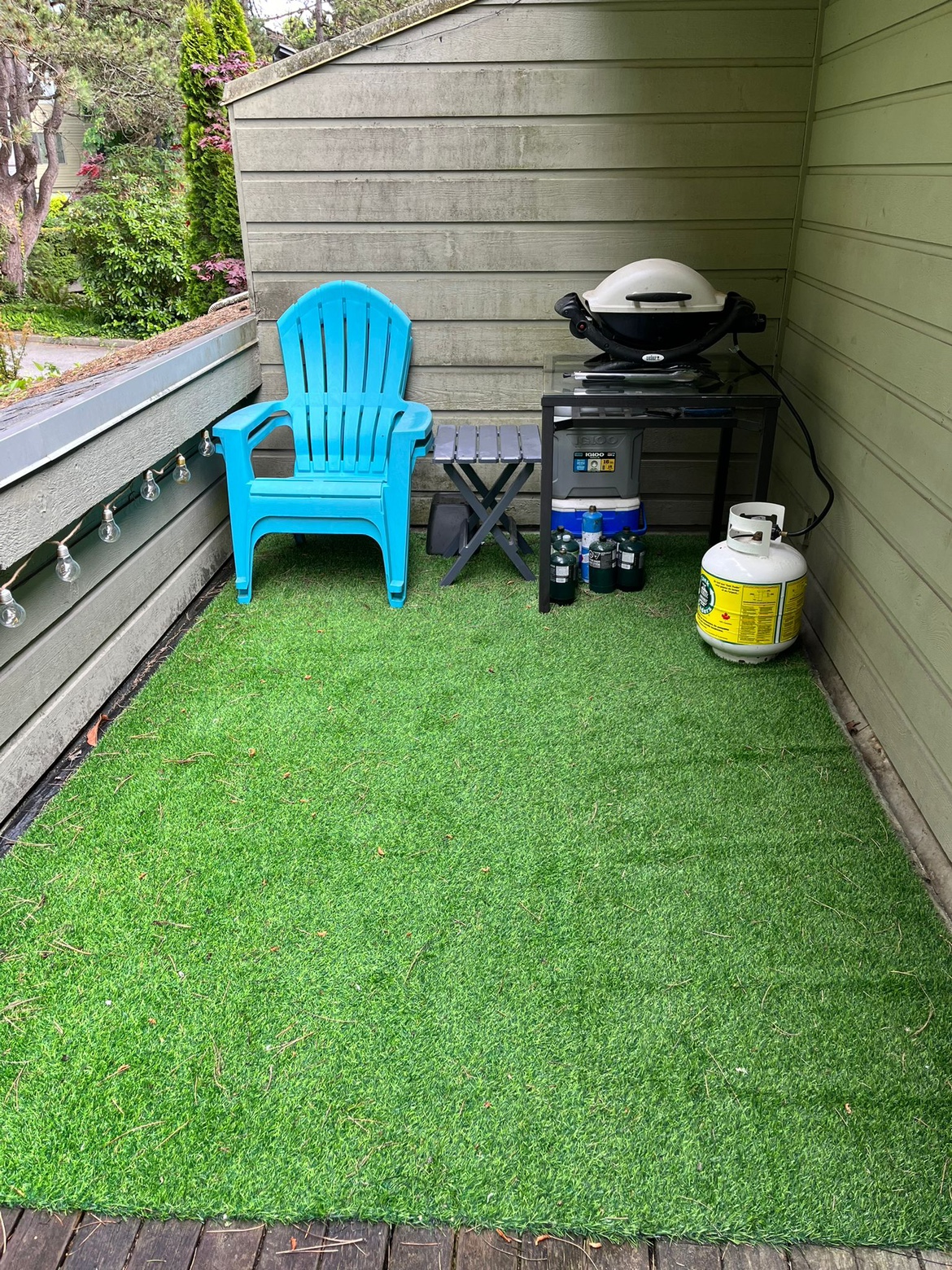 Astro turf