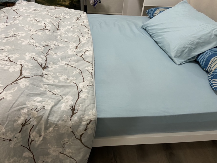 Queen Mattress