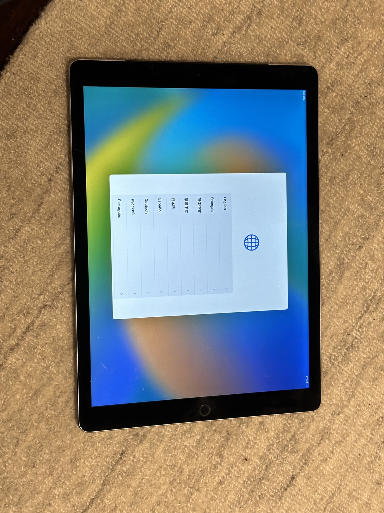 iPad Pro 12.9-inch. 256 GB. FREE case & EMF protection! image indicator(8)