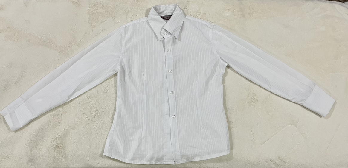 Brand new never worn Long sleeved blouse white stripes