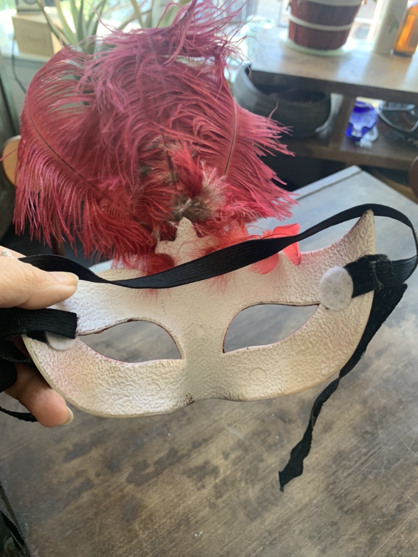 Red feathered Mardi Gras masquerade mask image indicator(3)