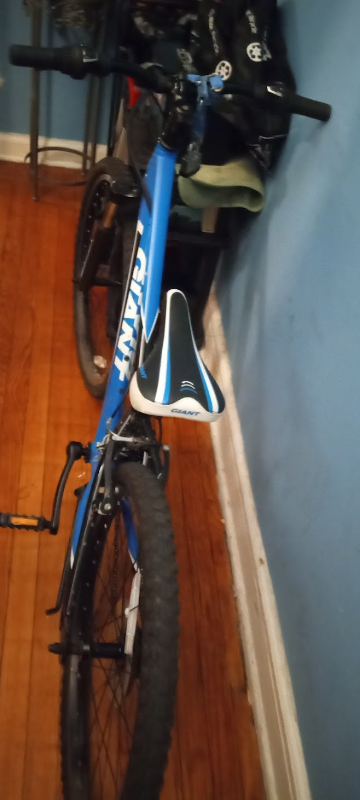 Giant Mountain bike for kids