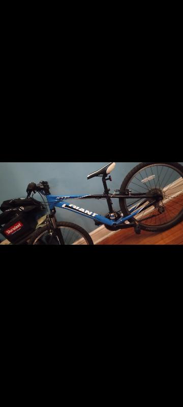 Giant Mountain bike for kids - photo 4