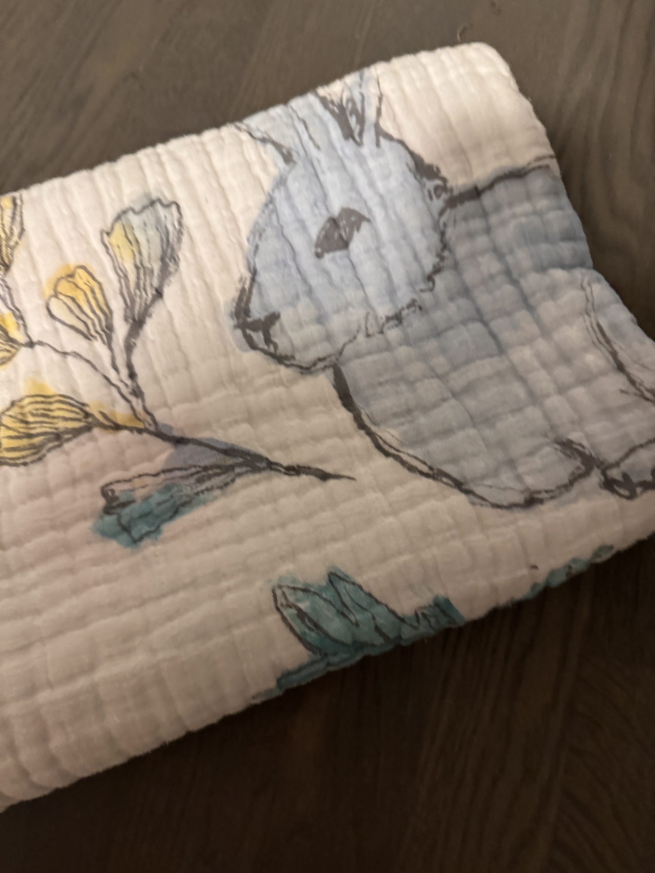 Aden +anais blanket