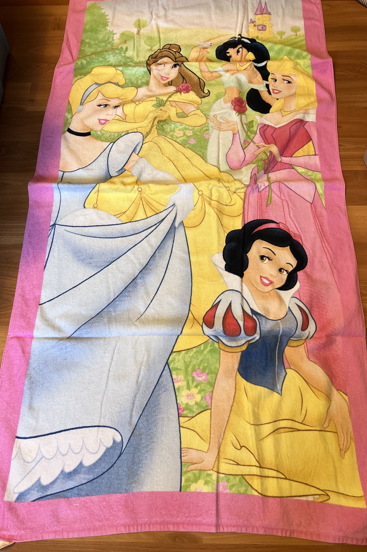 Disney Princesses Beach Towel thumbnail