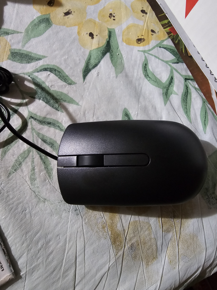 Dell Mouse image indicator(2)