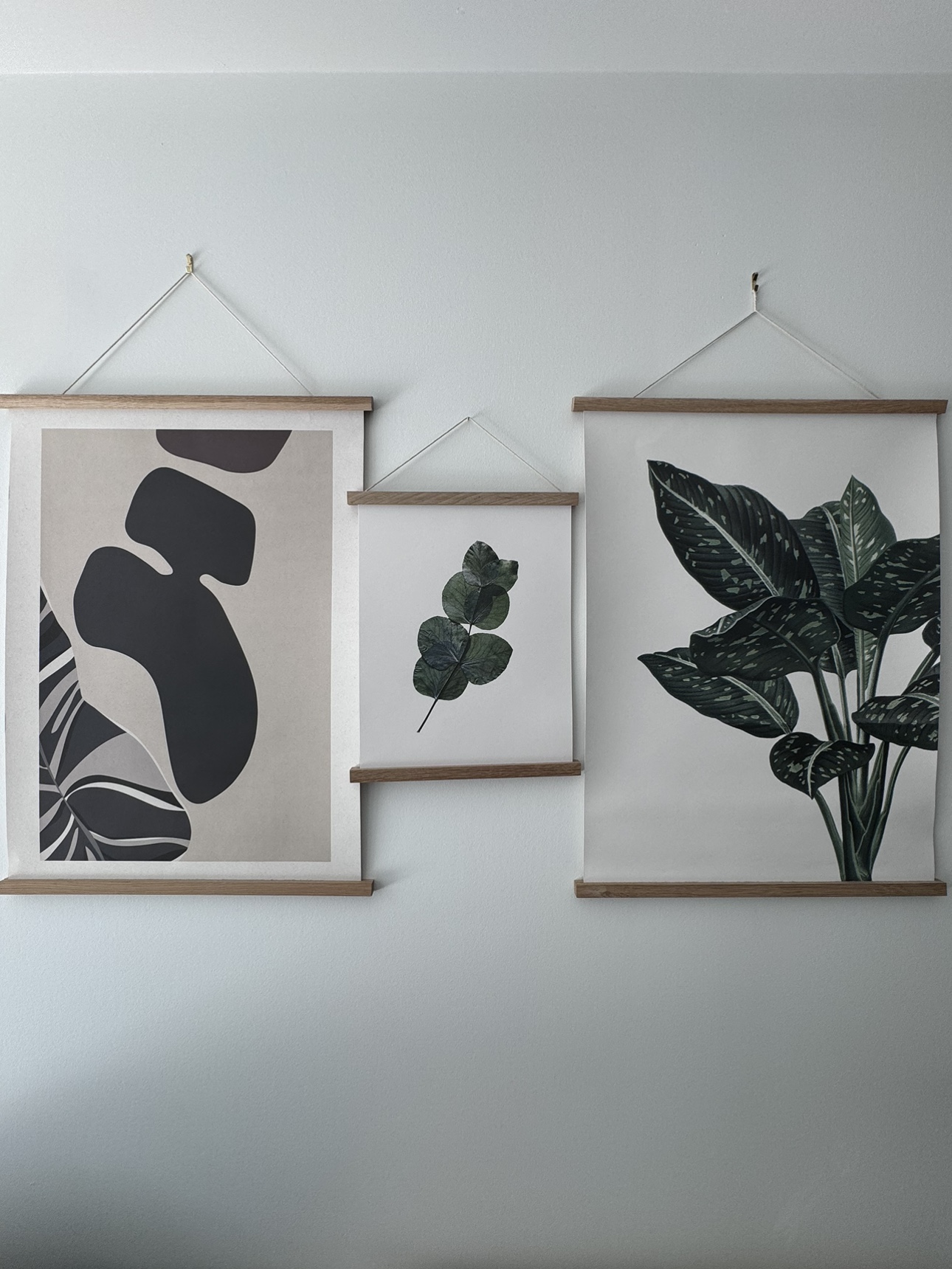 Poster Wall Hangers/Posters