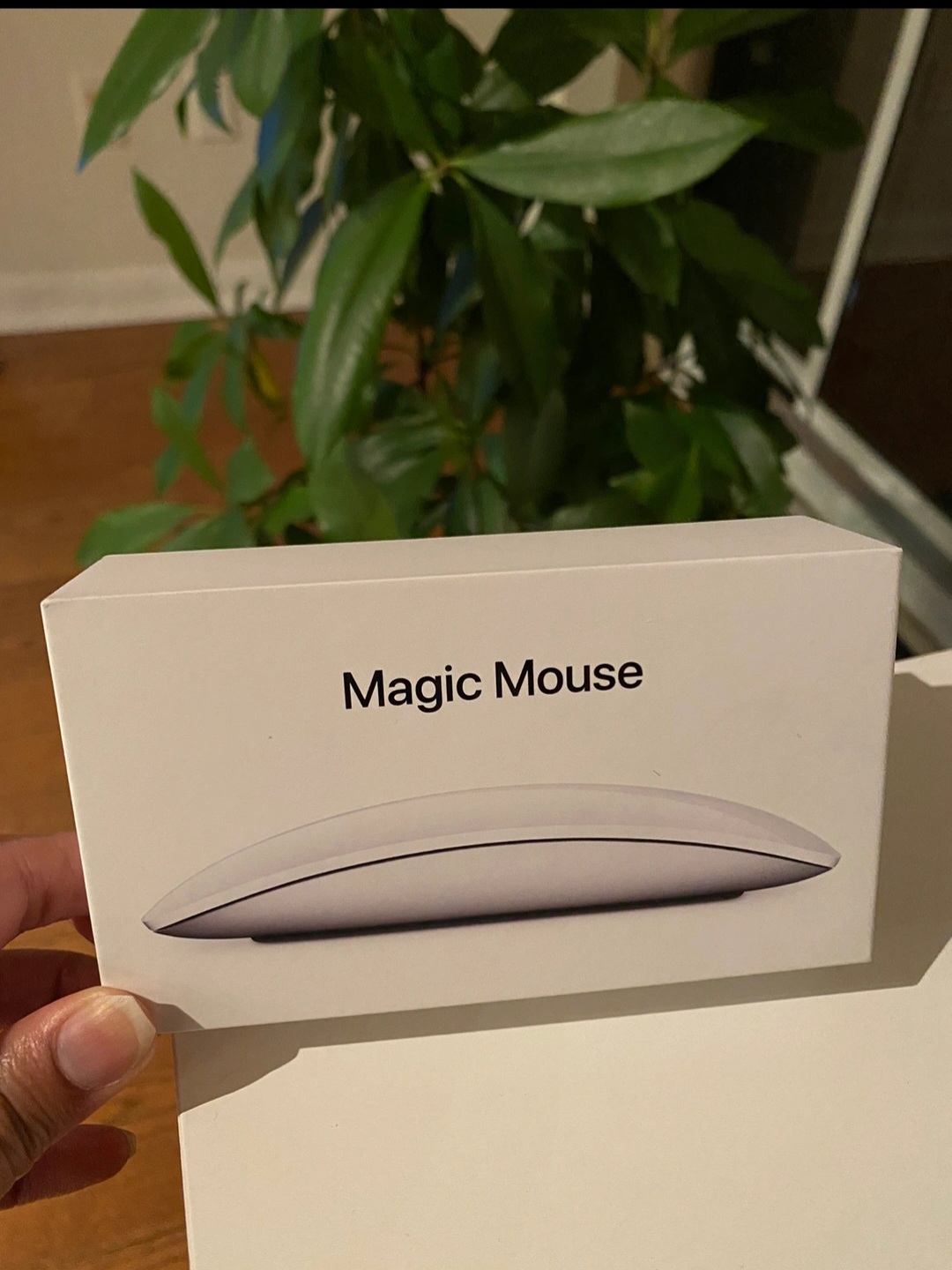 Apple magic mouse 2