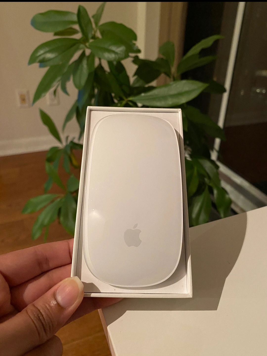 Apple magic mouse 2 - photo 3