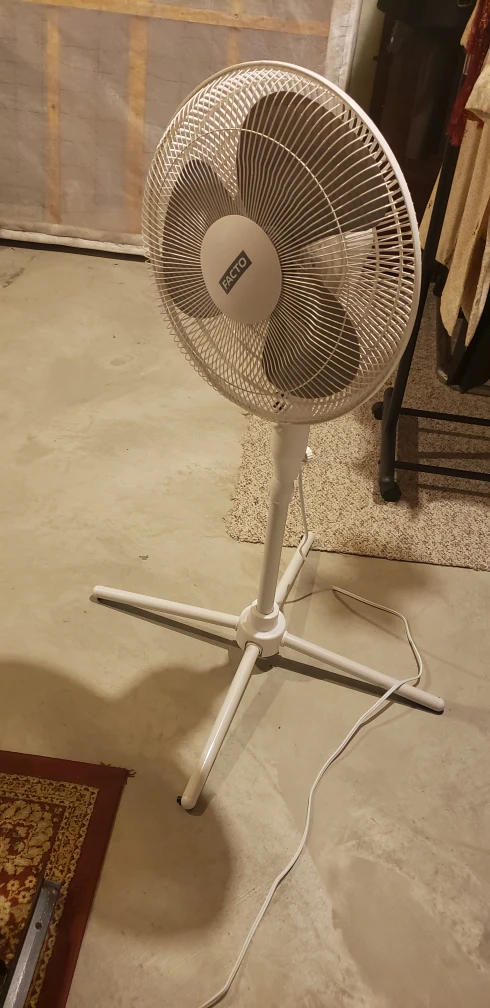 Fan