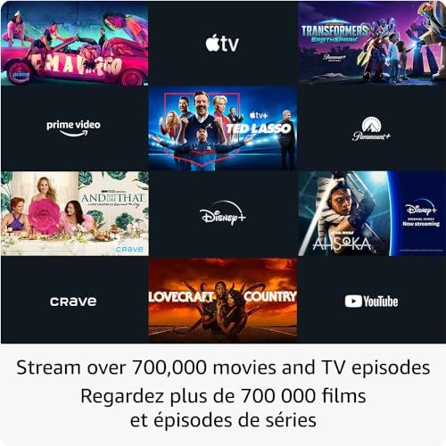 Amazon Fire Stick image indicator(9)