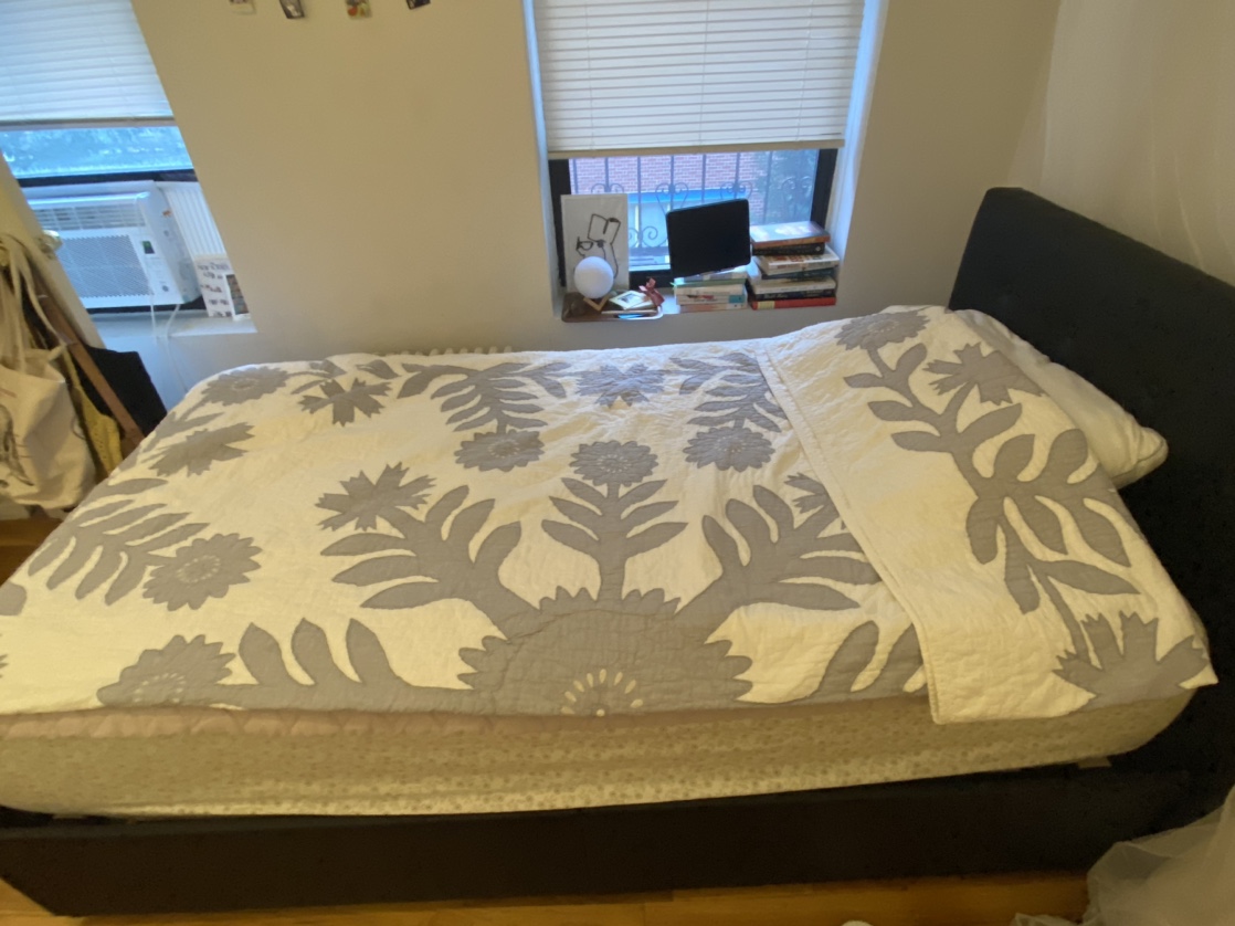 FREE Twin mattress and bed frame.