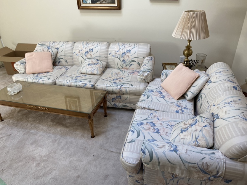 Living room sofa and loveseat and coffee table