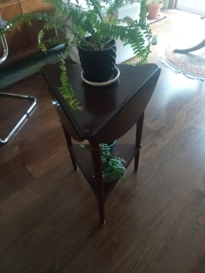 Plant Stand - photo 3