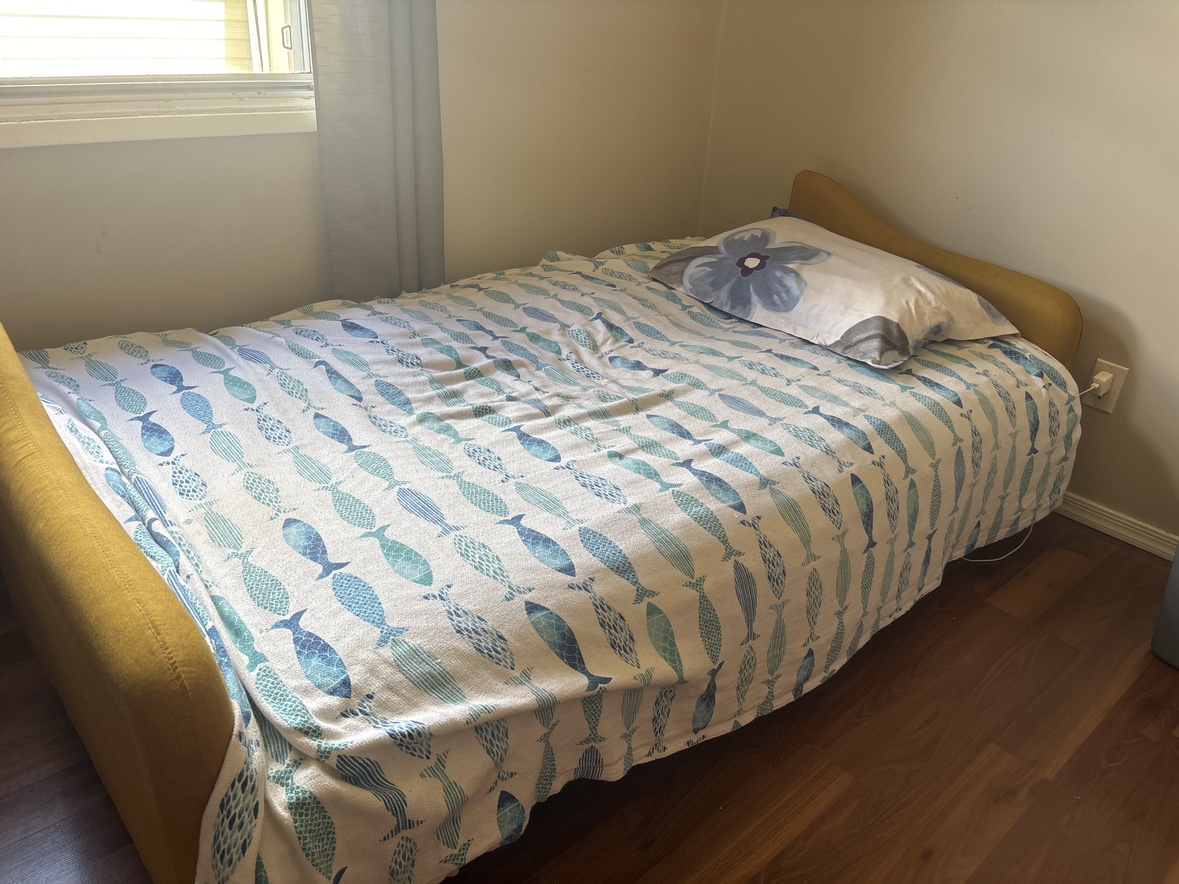 Sleeper sofa - photo 4