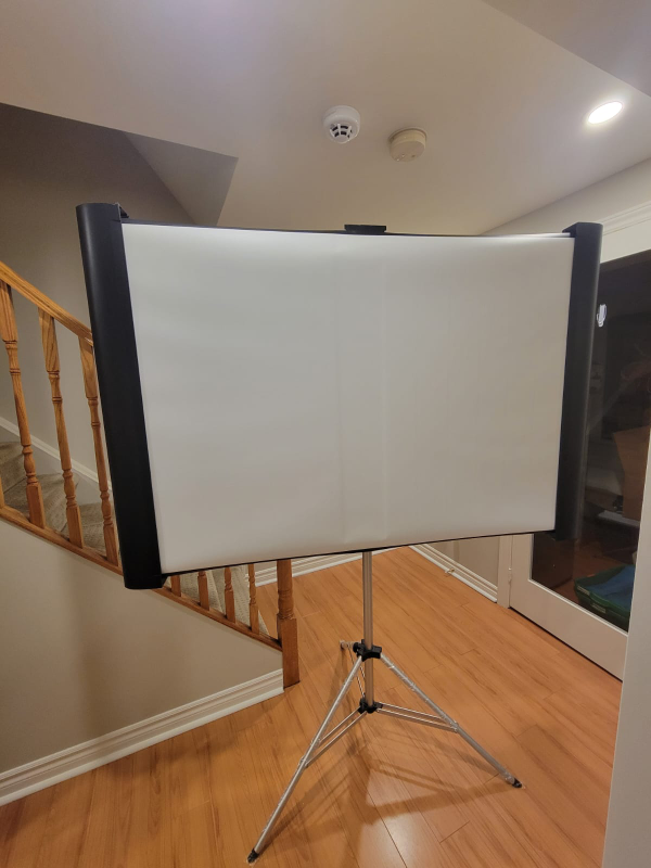 projector screen - photo 2