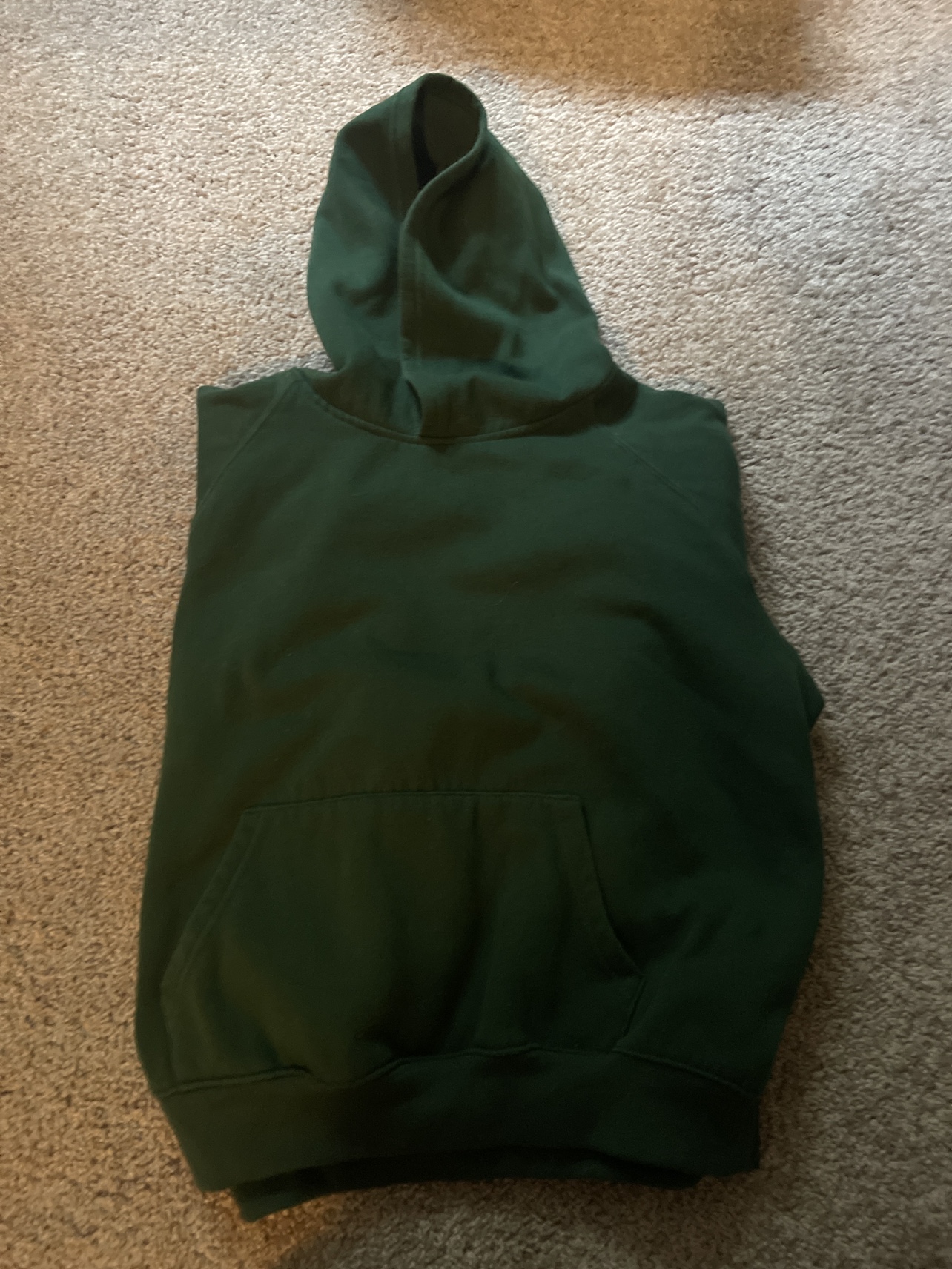 Plan green hoodie