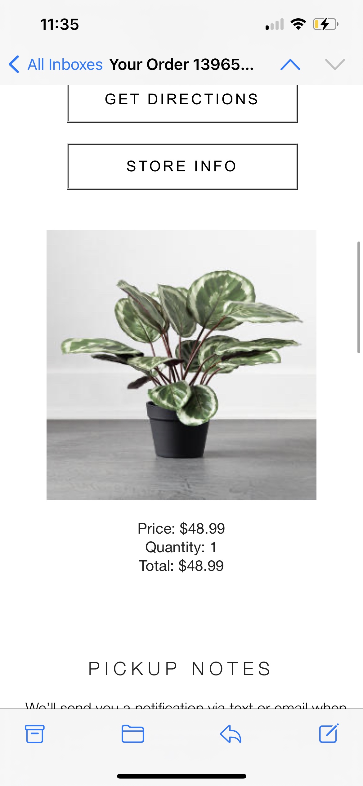 CB2 Faux Plant with Lulu and Georgia Ceramic Planter - photo 5