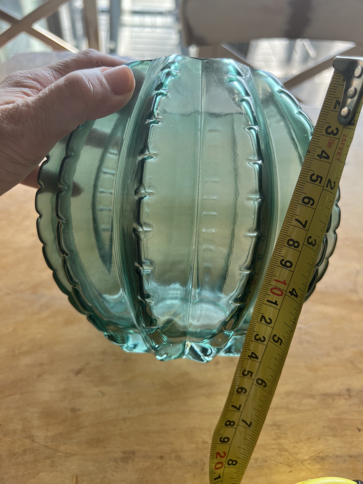 Cute Cactus glass flower pot image indicator(4)